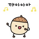 APEX(에이펙스) 이미지