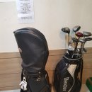 학성 스포렉스 이미지