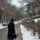 르메르 포춘 미니 다크초코 판교현대백화점 구매후기, 가격정보