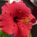 오늘도예쁘게 이미지