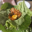 [포항 남구] 효자동 꼼장어 맛집 솔직 후기: 초원꼼장어