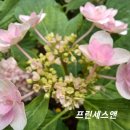 유앤미 이미지