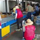 영산포종합사회복지관 이미지