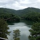 레드브릿지 이미지