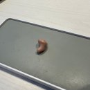 제일의료기 보조기 이미지
