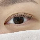 [잠실/석촌] 세련뷰티(SERYUN) : 노글루 케라틴 속눈썹펌 추천 후기💧
