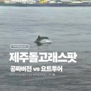 제주 돌고래스팟 - 공짜 버전 vs 요트투어 당선의 선택은?