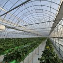 다대농장 이미지