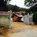 별빛풍경 이미지