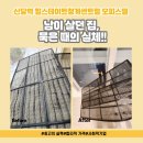 신당역 힐스테이트청계센트럴 이사청소 입주청소, 남이 살던 집 묵은 때의 실체