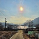 사과하나펜션 | 충북 충주호 캠핑장 추천 애견동반가능한 아로미 캠핑장 &amp; 펜션 솔직 후기