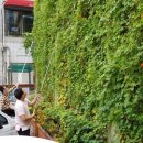 신안동 주민센터 이미지