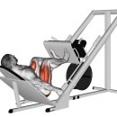 앰비션PT센터 이미지