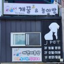 배산동물병원 네이버블로그