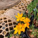 세인농장 이미지