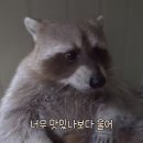 대동정육점 이미지