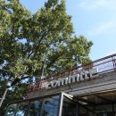 꼼떼(Commtte) 이미지