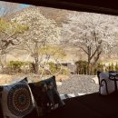 스테이더담 경주산내점 이미지