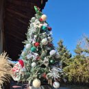 숲속 아지트 이미지