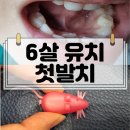 동탄스타치과의원 이미지