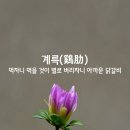 계륵 이미지