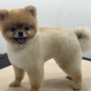 뽀그리독 이미지