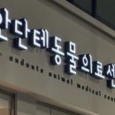 안단테 동물의료센터 이미지