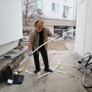 공주대학로 이미지