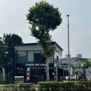 [경기 과천] 제이에스커스텀 스팀세차 후기, 신차 출고 후 첫 목욕 대만족!