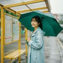 고려환경 | 장마철 필수템 장우산 : 스타일, 안전, 그리고 환경까지 고려한 우산 선택 가이드