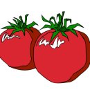 달빛과일 이미지