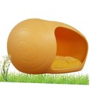 펫 아지트 이미지