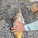 산유낚시터 이미지