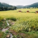 아름다움 이미지