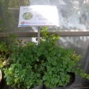 극복 농장 이미지