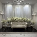 엔스토리 | W#1 전주 엔타워 웨딩홀 계약 후기 (견적, 계약O)