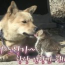 없음 이미지
