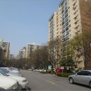 강남-151 이미지