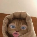 (주)한방스퀘어 이미지