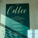 페이즈 나인 이미지