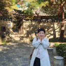 벽산화원 | 성북구 가볼 만한 곳 최순우 옛집, 간송미술관, 심우장,