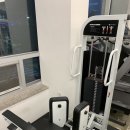 필로스짐 이미지