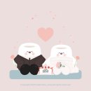 수원-1283 | 수원 브라이덜휘에서 드메+본식 스냅 계약 후 대금 결제까지 들었던 총 비용 (품목별 비용 댓글 문의)