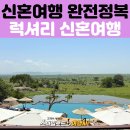 세렝게티 | 케냐 탄자니아 신혼여행 후기 | 세렝게티 사파리 투어, 라히아 롯지 &amp; 포시즌스 호텔