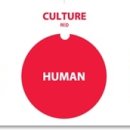 CW-0220-01 이미지