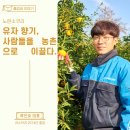 노란농수산