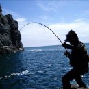 서해대교바다낚시터 이미지