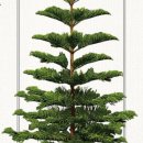 溫故而知新(온고이지 이미지