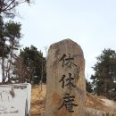 주문진 대게, 양양 휴휴암, 속초 아바이마을 여행(2019.3.27.수) 이미지