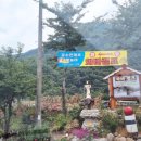 와바 | 양양 물놀이 와바캠프 솔직 후기! 공수전 계곡에 다녀왔어요!